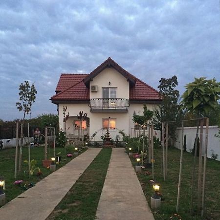 巴洛泰什蒂 Blue Sky House酒店 外观 照片
